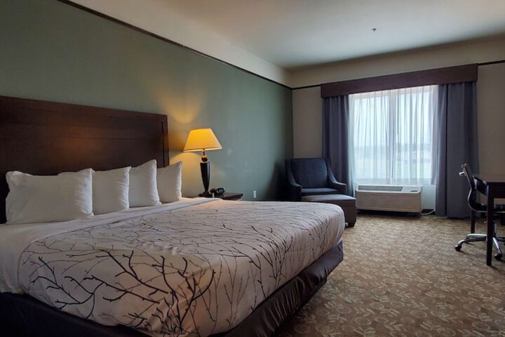 1 King Bed (1 of 13)