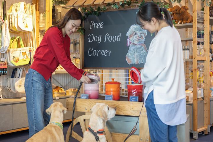 Pet Friendly 47 of 72
