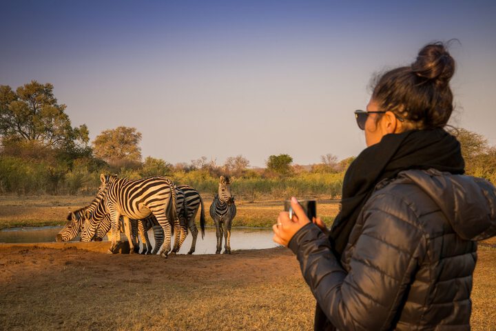 Game viewing