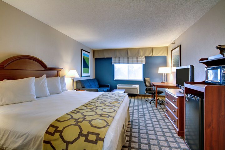 1 King Bed (9 of 11)