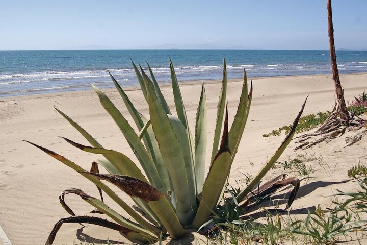 Beach 8 of 14
