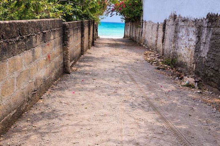 Beach 48 of 66