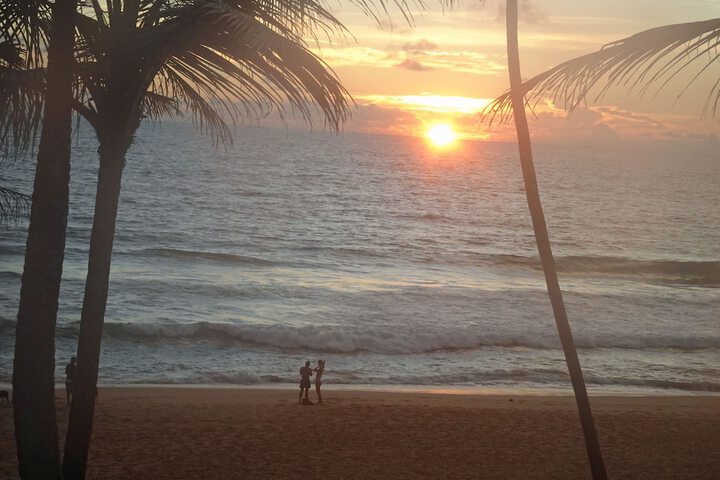 Beach 186 of 221
