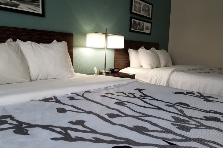 2 Queen Beds Mobility Accessible (3 of 20)