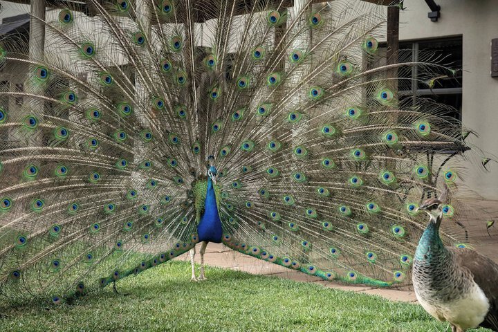 Amenity Photo