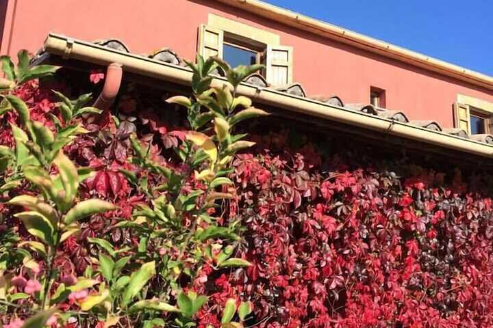 Hotel 40 of 47