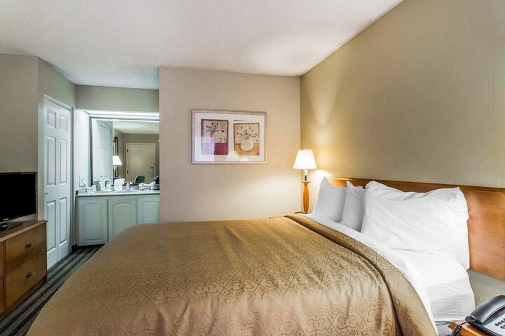 1 Queen Bed (9 of 11)