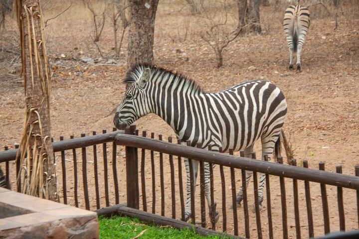 Hotel Interior 30 of 49