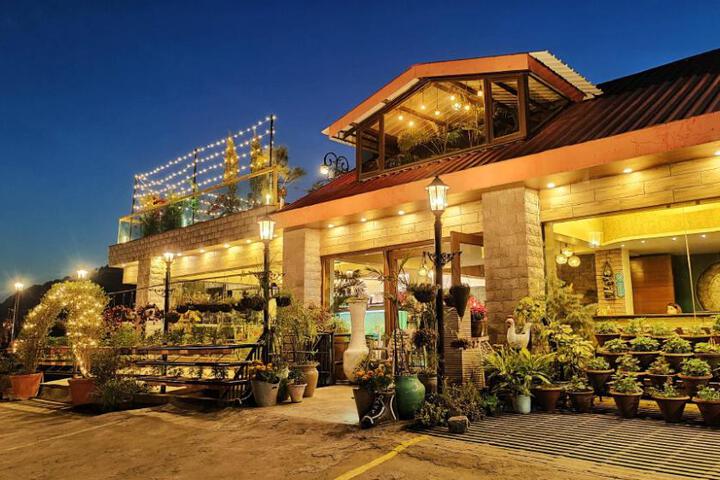 Dippys The Boutique Hotel