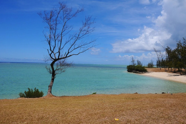 The Kiter s Nest Baie du Cap