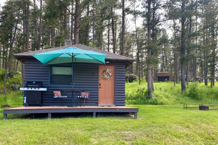 Photo of Cabin 3 at Horse Creek Resort