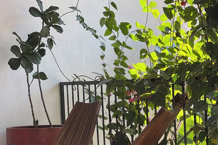 Terrace/Patio 9 of 31