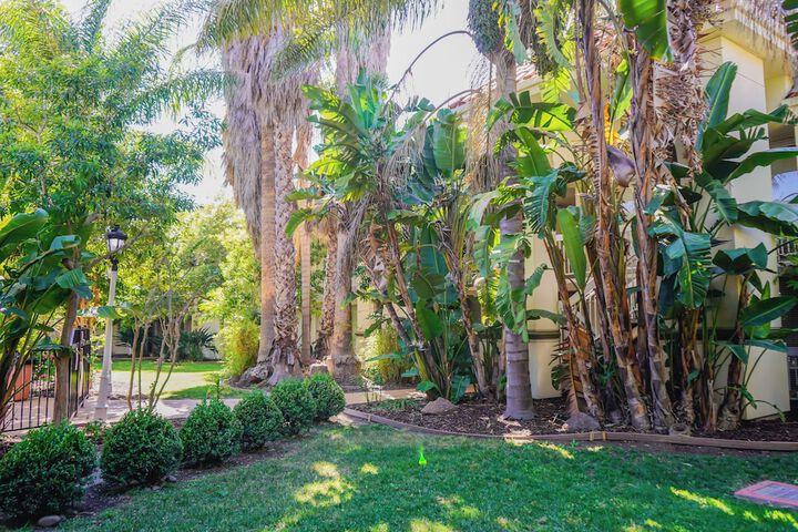 Garden view