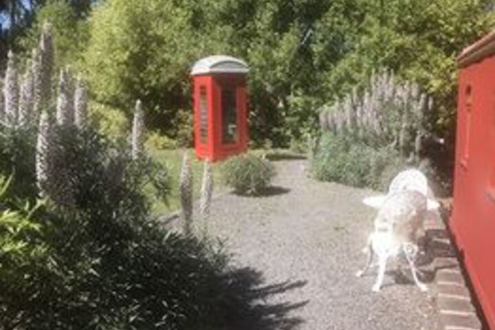 Property Grounds 23 of 26