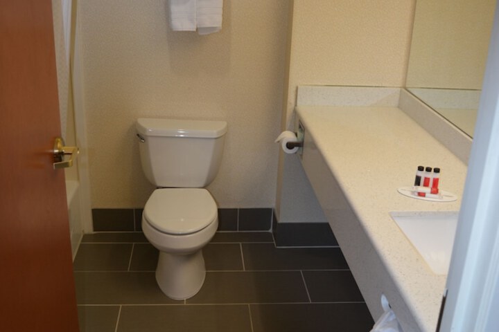 1 Queen Bed Mobility Accessible Studio Suite Bathtub with Grab Bars (25 of 28)
