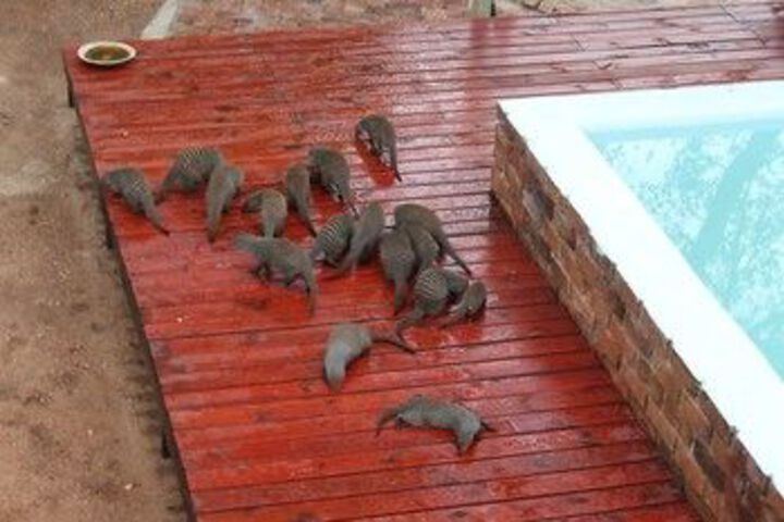 Pool 11 of 12