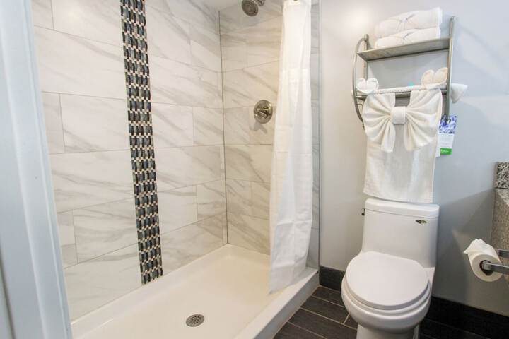 1 King Bed Pet Friendly Accessible (35 of 90)