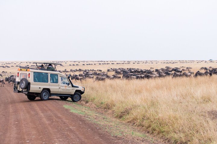 Game drive