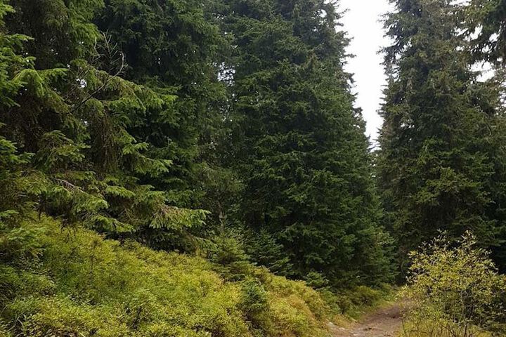 Property Grounds 1 of 30