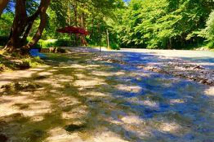 Property Grounds 19 of 20