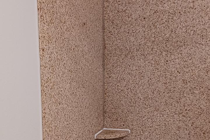 ADA Accessible Superior 2 Queen Beds (6 of 6)