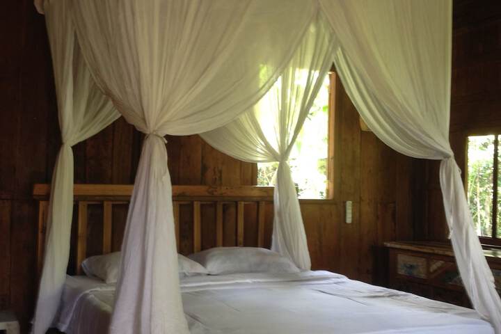 Room 4 of 4
