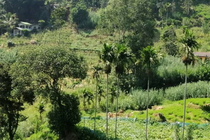 Hotel View 29 of 32