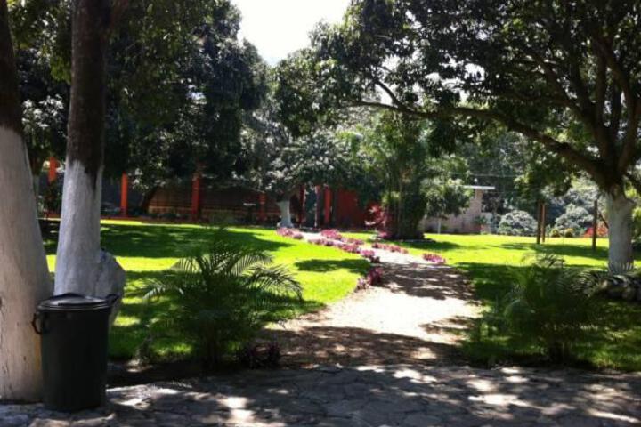 Careva
