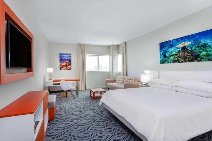 1 King Bed Balcony Accessible (11 of 17)