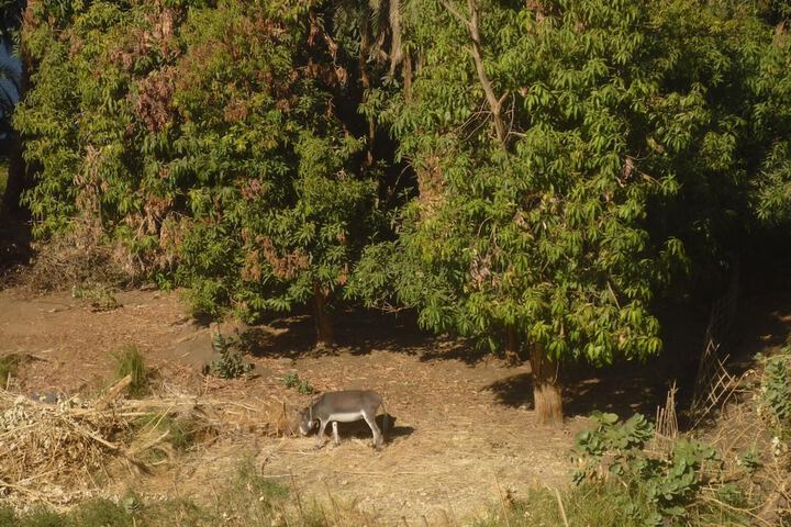 Property Grounds 17 of 41