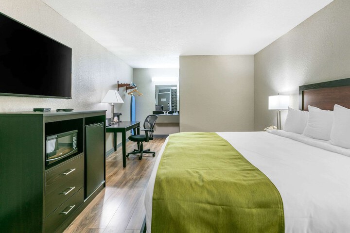 1 King Bed Accessible (10 of 17)