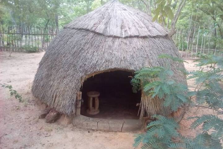 Room 4 of 12
