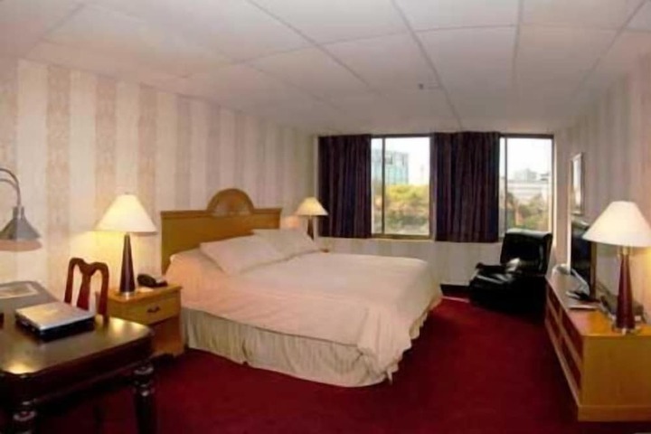 Standard | King Bed (8 of 8)