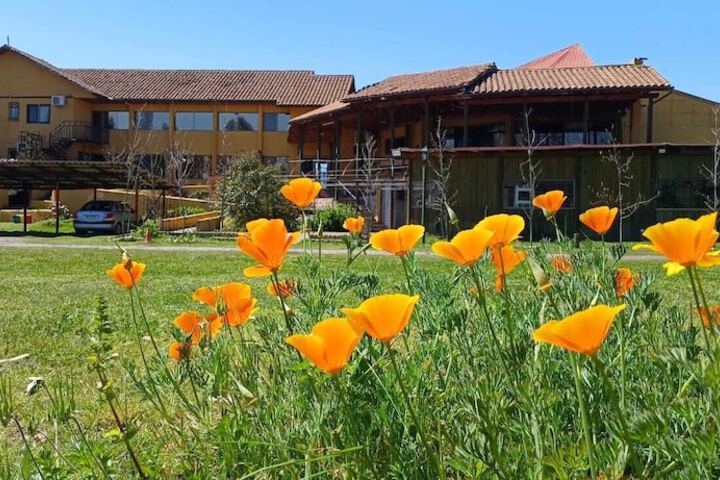 Image of Hotel Ontiveros