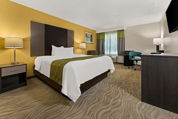 1 King Bed (8 of 12)