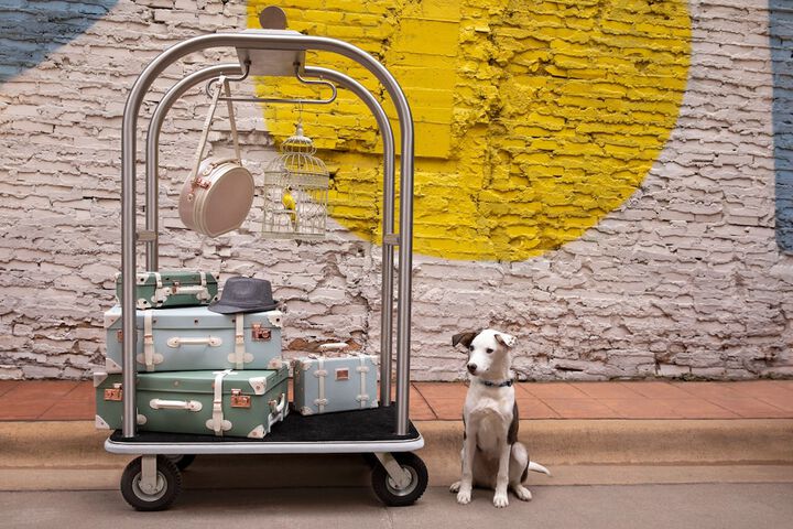 Pet-friendly