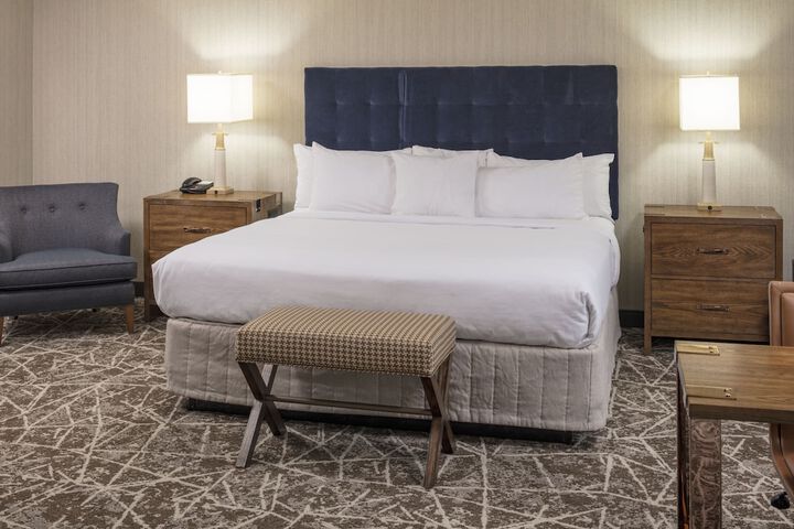 1 King Bed Accessible (4 of 11)