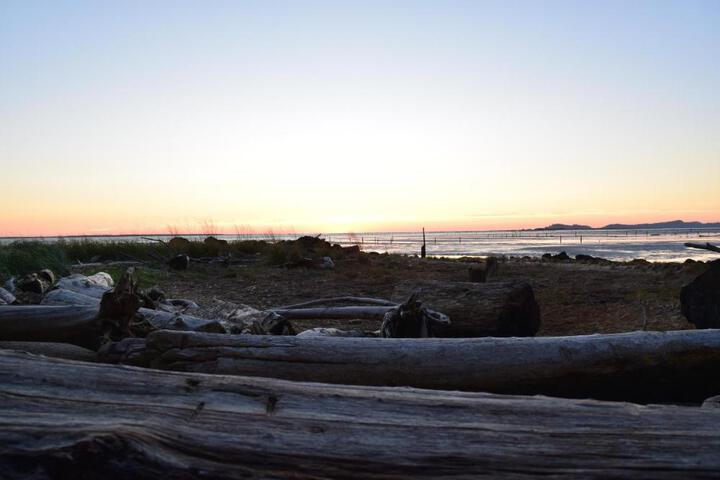 Photo 34