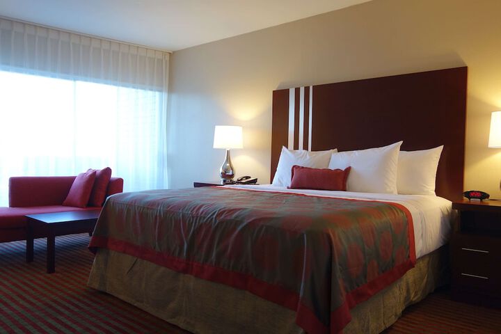 1 King Bed Accessible (3 of 13)