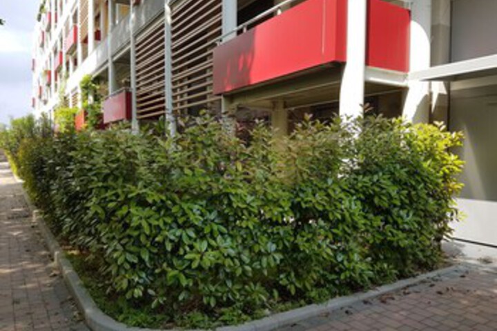 Hotel Exterior 6 of 29