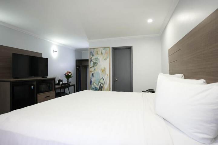 Executive Single Room (2 of 9)