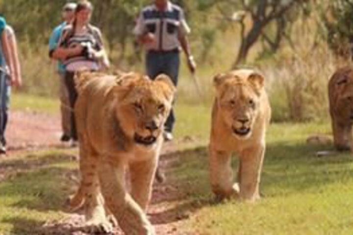 Property Grounds 2 of 2