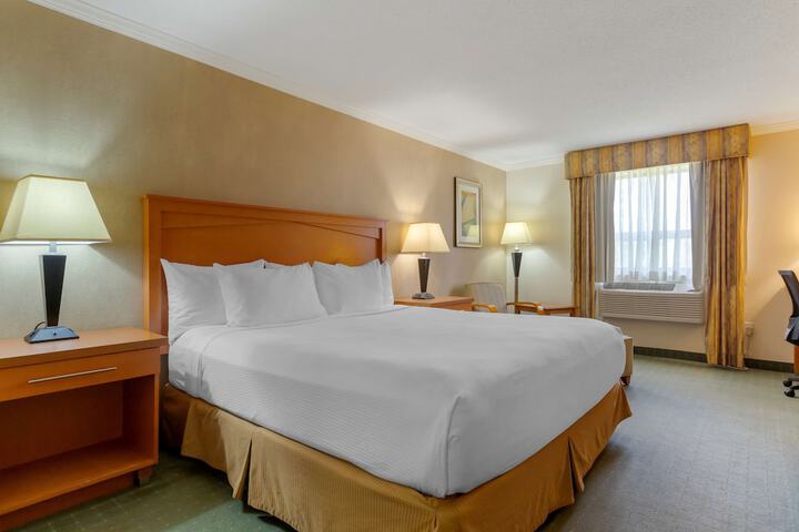 1 King Bed Chair Work Desk WiFi, Microwave and Refrigerator Full Breakfast (17 of 19)