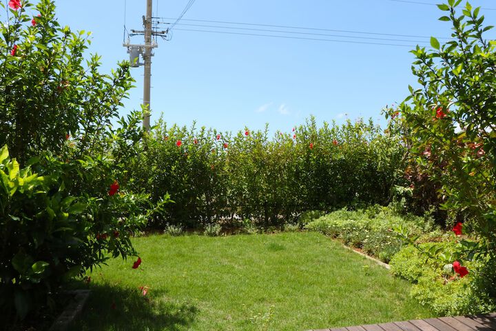 Terrace/Patio 19 of 27