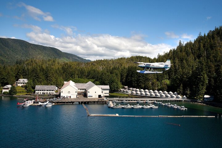 Image of Waterfall Resort