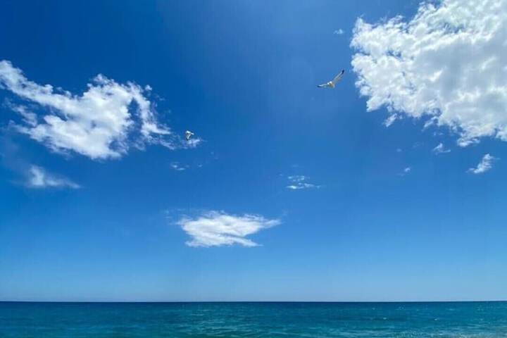 Beach 55 of 78