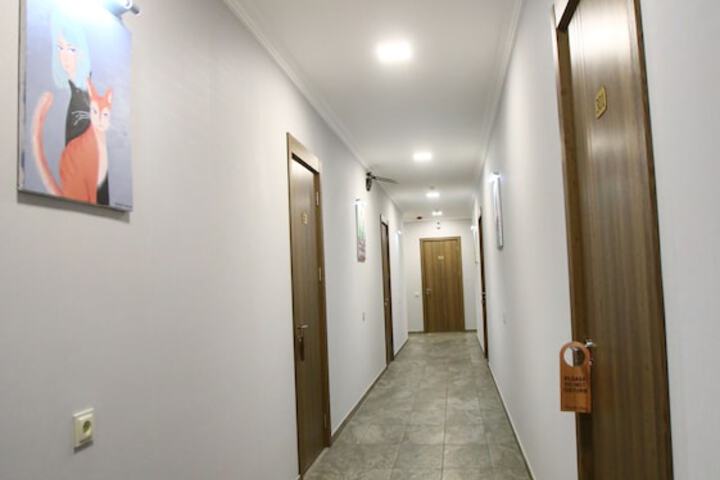 Hotel 5 of 86