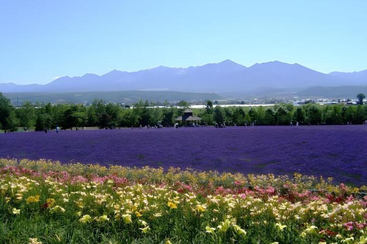 Photo 20