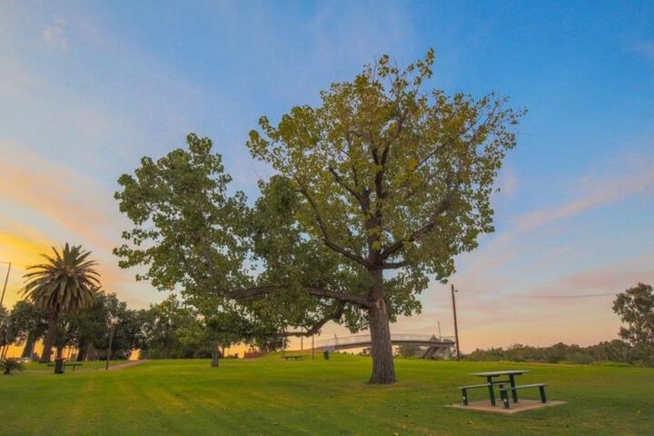 Property Grounds 24 of 25