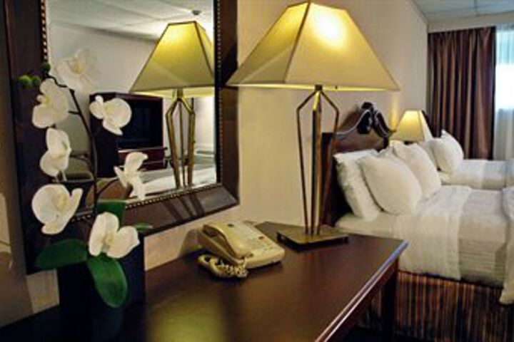 Suite Room